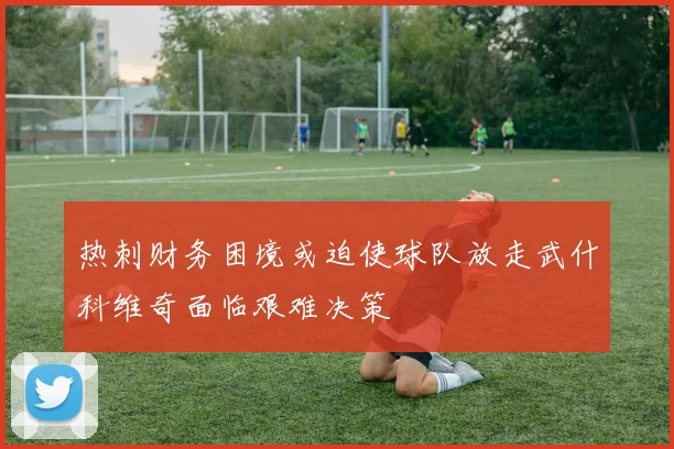 热刺财务困境或迫使球队放走武什科维奇面临艰难决策